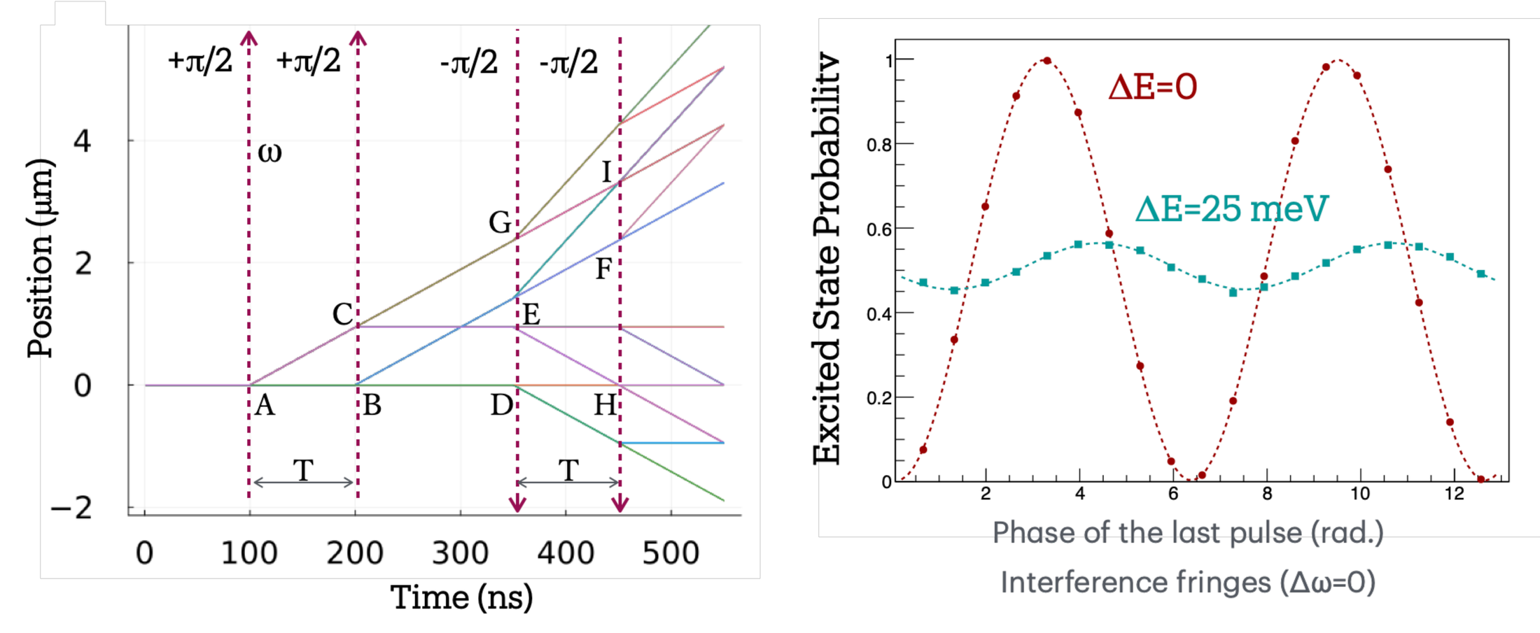 Simulated Ramsey-Borde trajectories and interference fringes